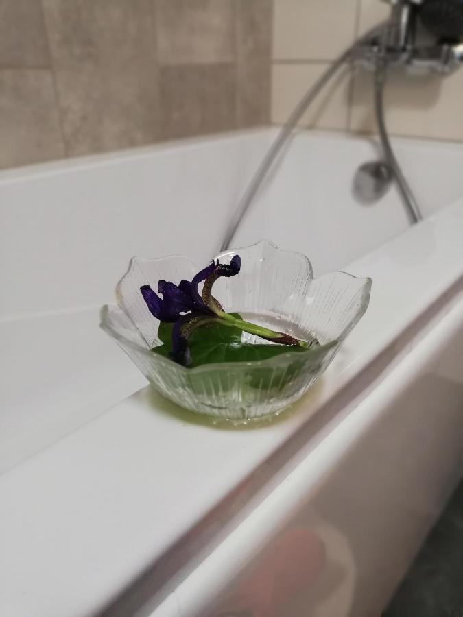 Froja Lägenhet Zator Exteriör bild